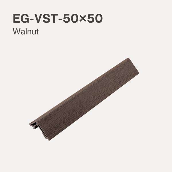 EG-VST